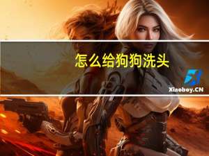 怎么给狗狗洗头