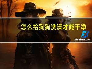 怎么给狗狗洗澡才能干净
