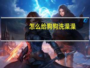 怎么给狗狗洗澡澡