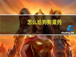 怎么给狗狗灌药