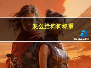 怎么给狗狗称重