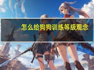 怎么给狗狗训练等级观念