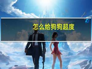 怎么给狗狗超度