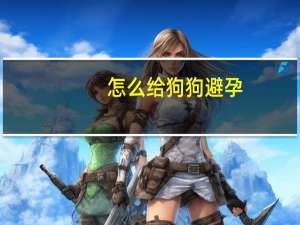 怎么给狗狗避孕