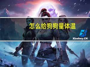 怎么给狗狗量体温