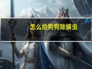 怎么给狗狗除螨虫