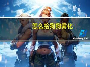 怎么给狗狗雾化