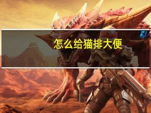 怎么给猫排大便