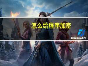 怎么给程序加密