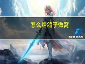 怎么给鸽子做窝