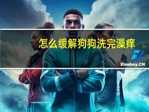 怎么缓解狗狗洗完澡痒