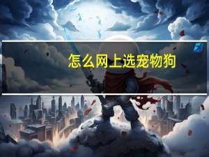 怎么网上选宠物狗