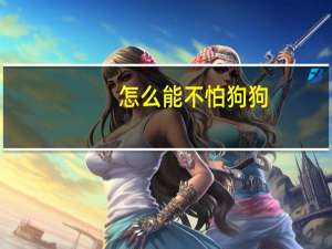 怎么能不怕狗狗