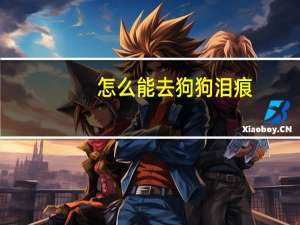怎么能去狗狗泪痕