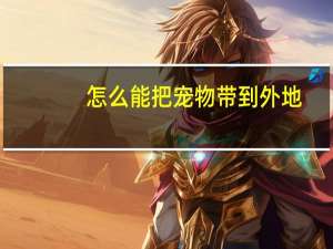 怎么能把宠物带到外地（怎么把宠物送到外地）