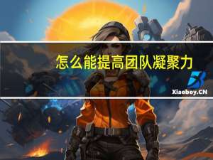 怎么能提高团队凝聚力
