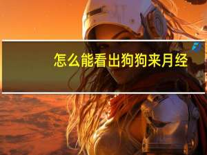 怎么能看出狗狗来月经