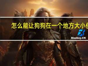 怎么能让狗狗在一个地方大小便