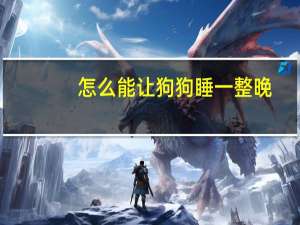 怎么能让狗狗睡一整晚