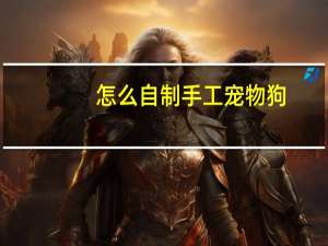 怎么自制手工宠物狗
