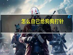 怎么自己给狗狗打针