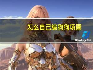 怎么自己编狗狗项圈