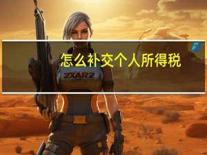 怎么补交个人所得税