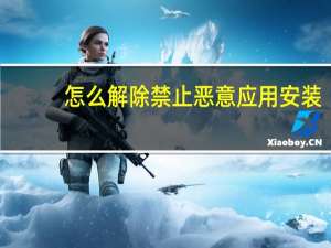怎么解除禁止恶意应用安装