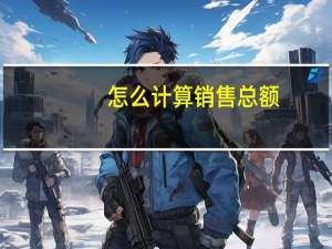 怎么计算销售总额