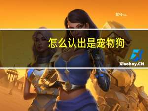 怎么认出是宠物狗