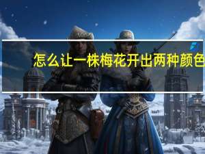 怎么让一株梅花开出两种颜色