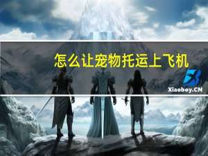 怎么让宠物托运上飞机