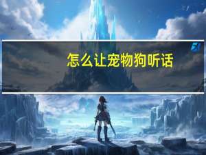 怎么让宠物狗听话