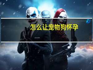 怎么让宠物狗怀孕