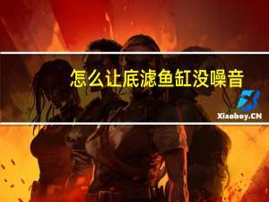 怎么让底滤鱼缸没噪音