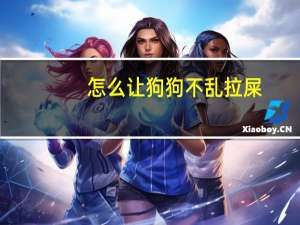 怎么让狗狗不乱拉屎