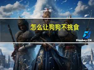 怎么让狗狗不挑食