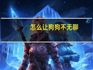 怎么让狗狗不无聊