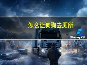 怎么让狗狗去厕所