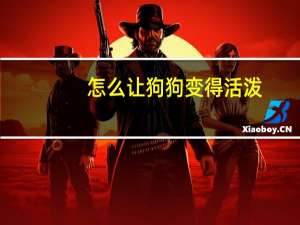 怎么让狗狗变得活泼
