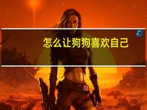 怎么让狗狗喜欢自己