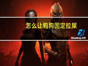 怎么让狗狗固定拉屎