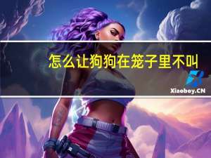 怎么让狗狗在笼子里不叫