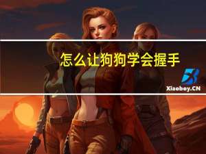 怎么让狗狗学会握手