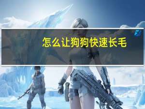 怎么让狗狗快速长毛