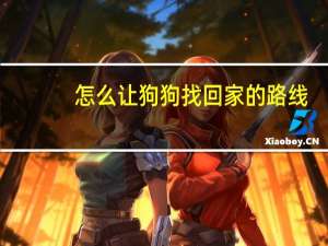 怎么让狗狗找回家的路线