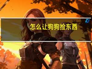 怎么让狗狗捡东西