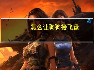 怎么让狗狗接飞盘