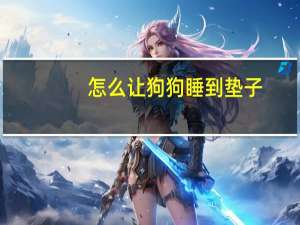 怎么让狗狗睡到垫子