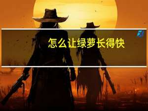 怎么让绿萝长得快